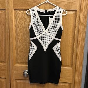 NWT Alt. B Dress